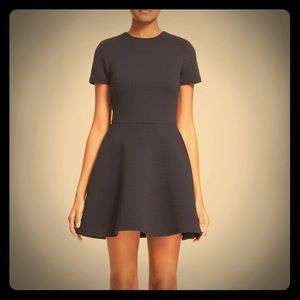 Opening ceremony clos fit and flare dress.